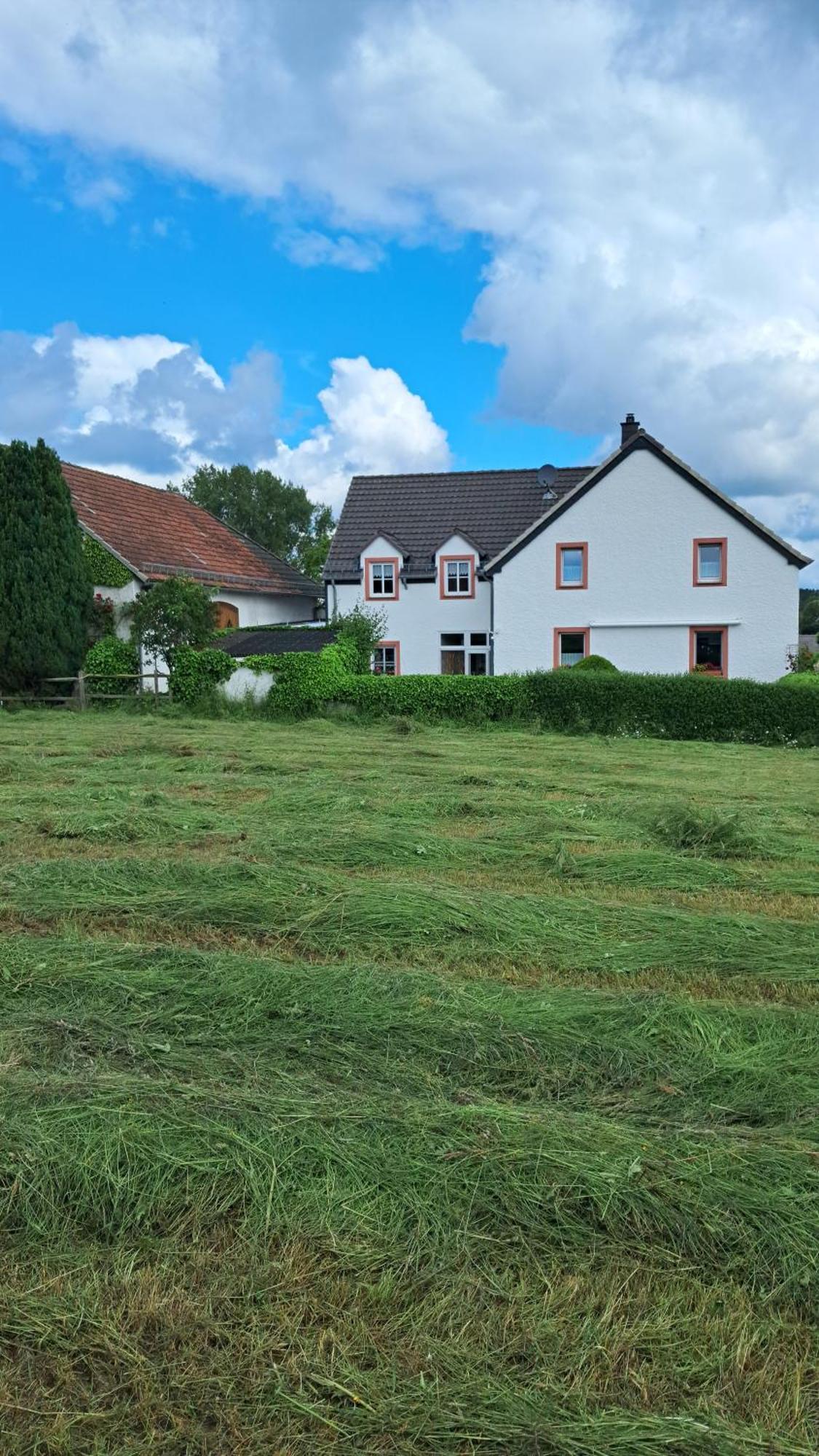 Ferienwohnung Eifelgold Esch Esch  エクステリア 写真